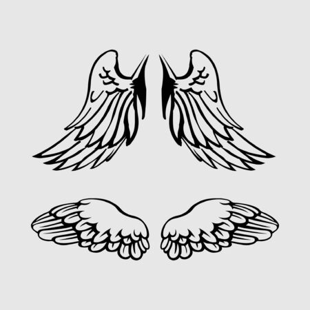 vector wings isolated on grey backgroundのイラスト素材