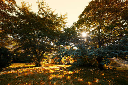 Autumnally Landscapeの写真素材