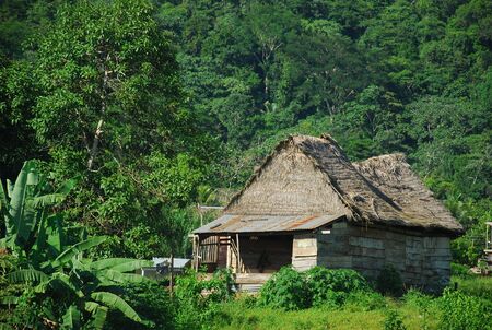 The Jungle Houseの写真素材