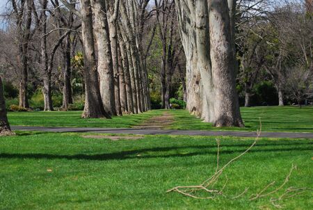 Park