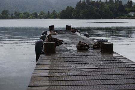 The Lakeの写真素材