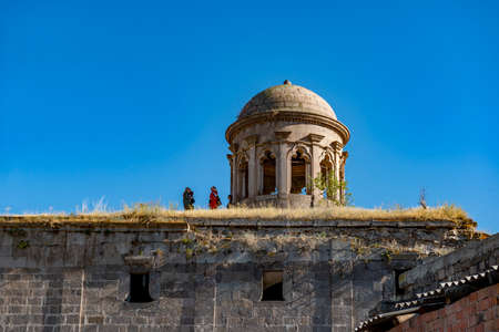 Tisの写真 イラスト素材一覧 603件 ストックフォトのamanaimages Plus