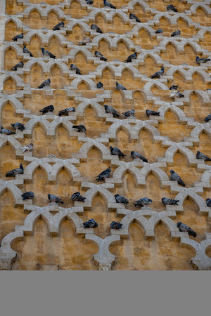 Zitouna Mosque, Located in the heart of Tunis' medina, this important mosque was founded in 734 and built on a site once occupied by a church. It was totally rebuilt in the 9th centuryの写真素材