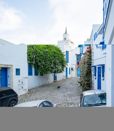White-blue city of Sidi Bou Said, Tunisia. Eastern fairy tale with a French charm. View of an old...
