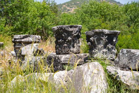 The Aphrodite of Aphrodisias (Aphrodisias) combined aspects of a local Anatolian, archaic fertility goddess with those of the Hellenic Aphrodite, goddess of love and beauty. Geyre,の写真素材