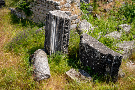 The Aphrodite of Aphrodisias (Aphrodisias) combined aspects of a local Anatolian, archaic fertility...