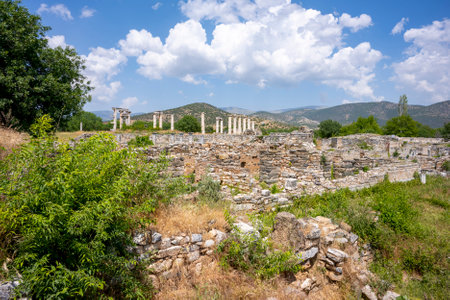 The Aphrodite of Aphrodisias (Aphrodisias) combined aspects of a local Anatolian, archaic fertility...