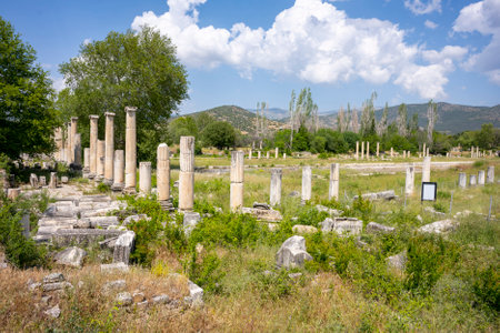 The Aphrodite of Aphrodisias (Aphrodisias) combined aspects of a local Anatolian, archaic fertility goddess with those of the Hellenic Aphrodite, goddess of love and beauty. Geyre,の写真素材