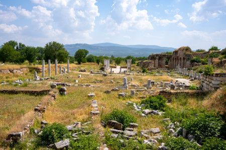 The Aphrodite of Aphrodisias (Aphrodisias) combined aspects of a local Anatolian, archaic fertility goddess with those of the Hellenic Aphrodite, goddess of love and beauty. Geyre,の写真素材