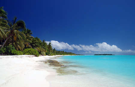 Tropischer Strand auf den Malediven                         の写真素材