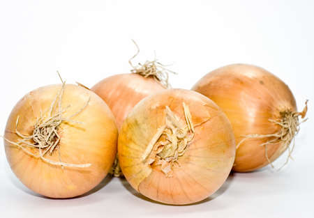 four onions isolated on white backgroundの写真素材