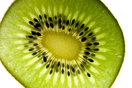 closeup of backlit kiwiの写真素材