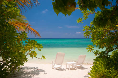 Tropical Beachの写真素材