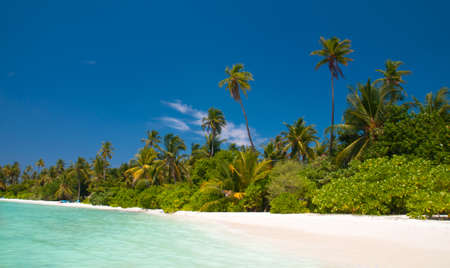 tropical beachの写真素材