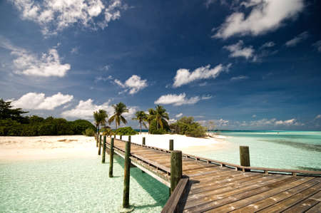 Jetty on a tropical beachの写真素材