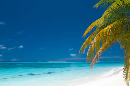 beautiful unspoilt tropical beachの写真素材