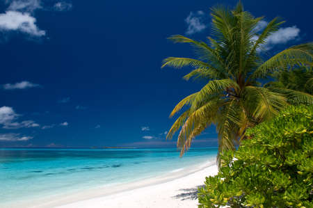 summertime on a tropical beachの写真素材