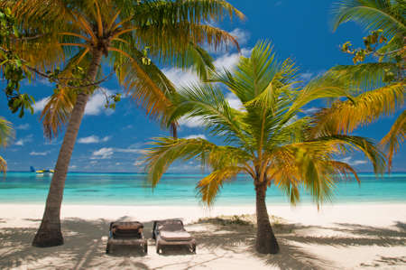 sunbeds on a beautiful tropical beach