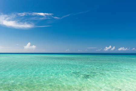 beautiful tropical Seascape