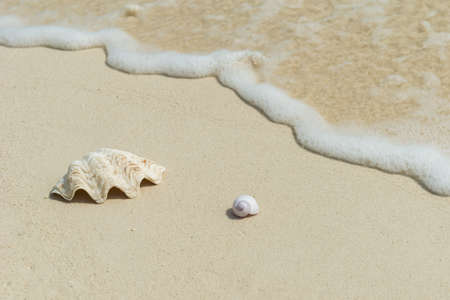 beach background sceneryの写真素材