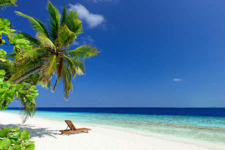 beautiful beachの写真素材