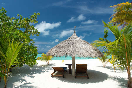 tropical beachの写真素材