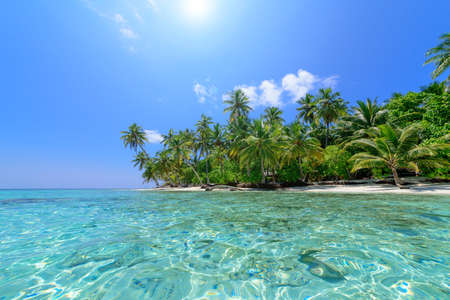 Beautiful beach on the maldivesの写真素材
