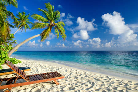 deckchair on a beautiful untouched tropical beachの写真素材