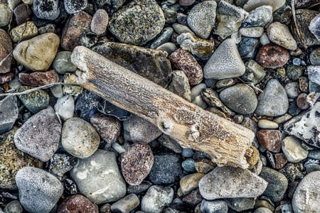 Frozen ground with frozen leaves, stones, sticks and straw at the beach in winterの写真素材