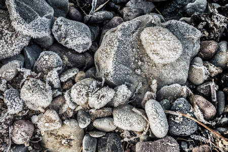 Frozen ground with frozen leaves, stones, sticks and straw at the beach in winterの写真素材