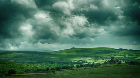 english countryside dartmoor during summer, devonの写真素材