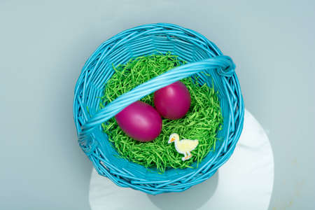 Easter eggs on green grass. Spring holidays concept