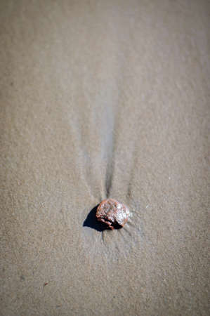 stones on the beachの写真素材