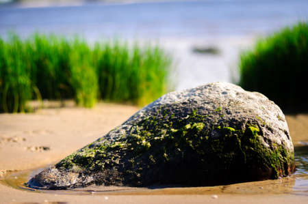 Beautiful seashore with stones on the beach on the foreground, South Australiaの写真素材