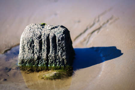 Beautiful seashore with stones on the beach on the foreground, South Australiaの写真素材