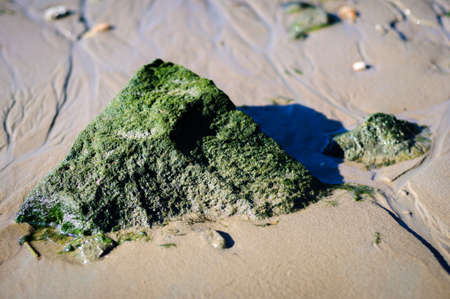 Beautiful seashore with stones on the beach on the foreground, South Australiaの写真素材