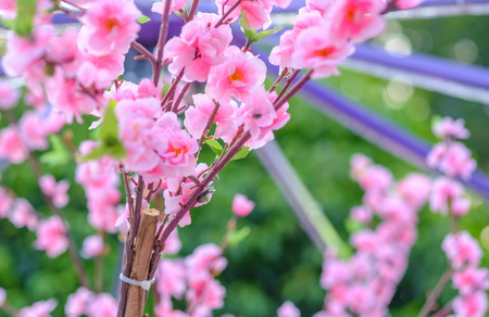 beautifule handmade blur pink flowerの写真素材