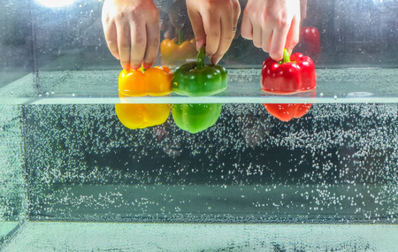 Bell pepper agreed to in the water.の写真素材