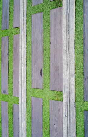 walking way from wood and grassの写真素材