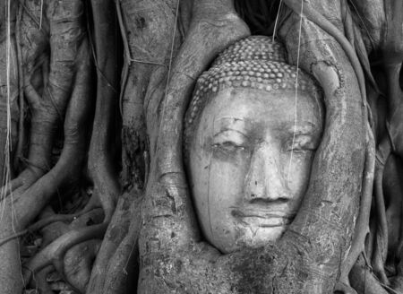Head of Buddha in Banyan tree, Ayutthaya Thailandの写真素材