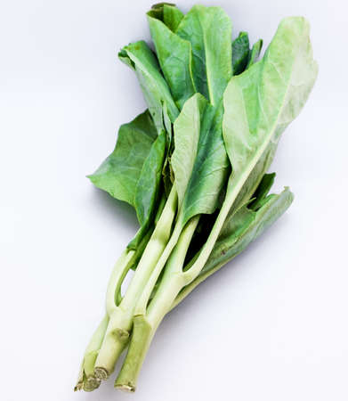 choi sum on white backgroundの写真素材