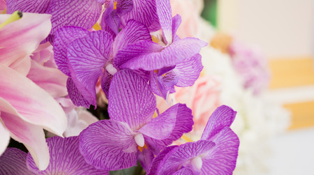 Beautiful bouquet of orchid with blur background