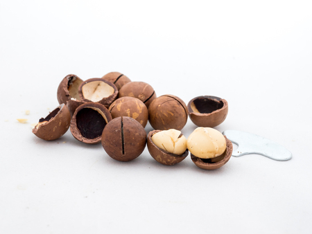 macadamia nuts fruits with shell on white backgroundの写真素材