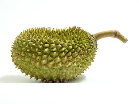 King of fruits, durian fruit with shell on white background.