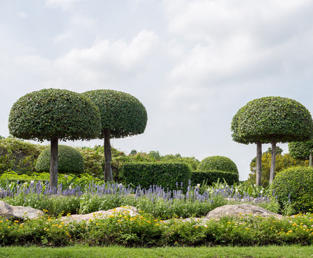 beautiful small park in cityの写真素材