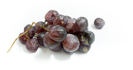 Brunch of dry grape fruits on white backgroundの写真素材
