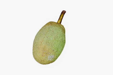 jackfruitの写真素材