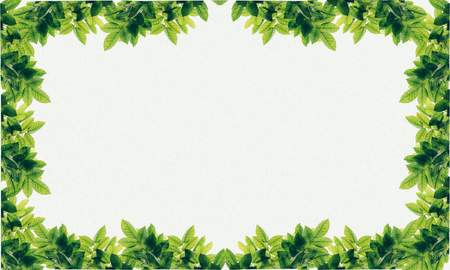leafs frame abstract background isolated on white