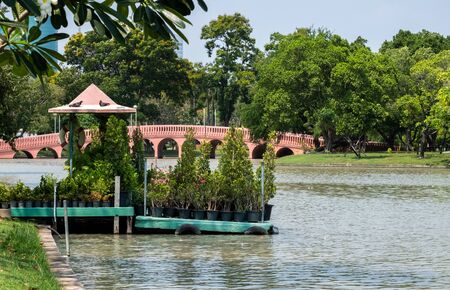 public park in the day with no anyoneの写真素材