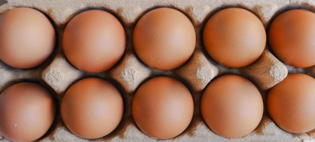 Eggs in a carton box. View from above.